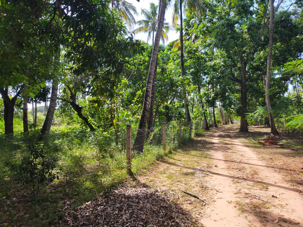 Land in Kilifi County - 5