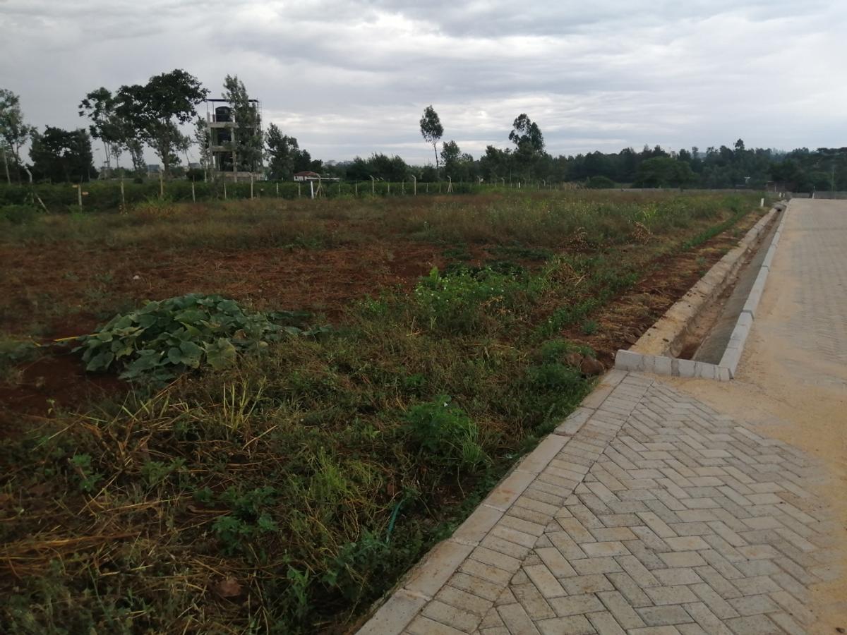 0.5 ac Residential Land at Runda Mumwe - 7