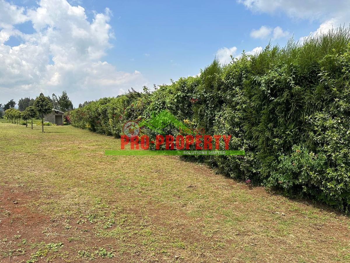 0.4 ha Land at Tilisi - 7