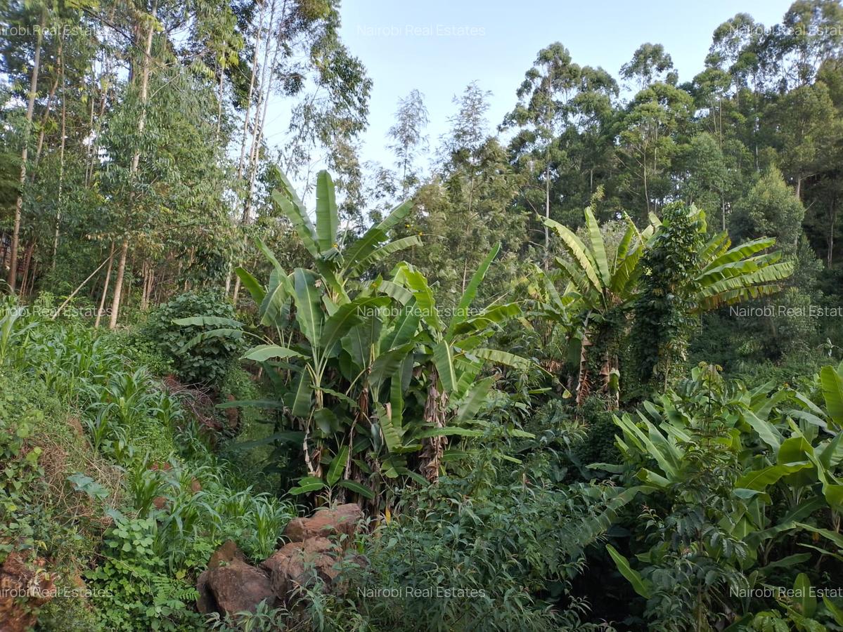 Land in Kitisuru - 3