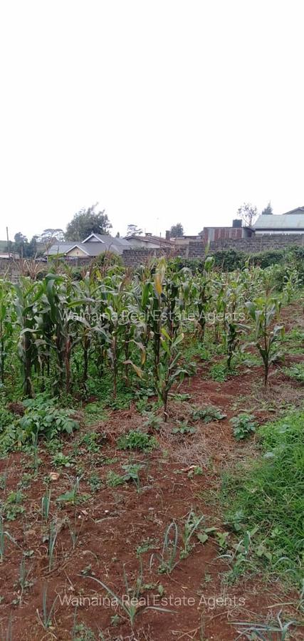 5,000 m² Land at Limuru-Karanjee - 9