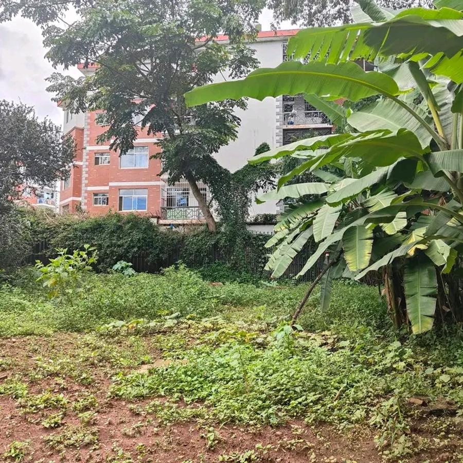 200 ac Land at Kilimani - 16