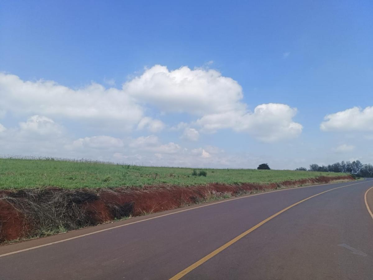 5 ac Land at Near Tatu City - 10