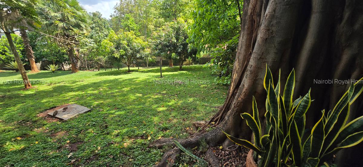 Commercial Property with Backup Generator at Lower Kabete Road - 8