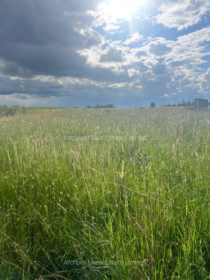 Land at Sunshine - 4
