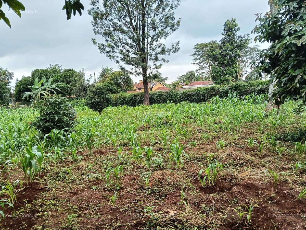Land at Mimosa Road - 1