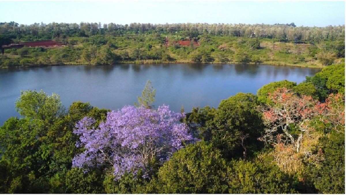 500 m² Residential Land at Oaklands - 5
