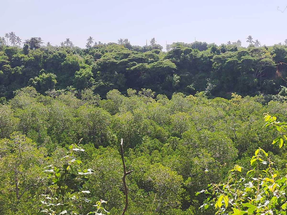 Land in Kilifi County - 12