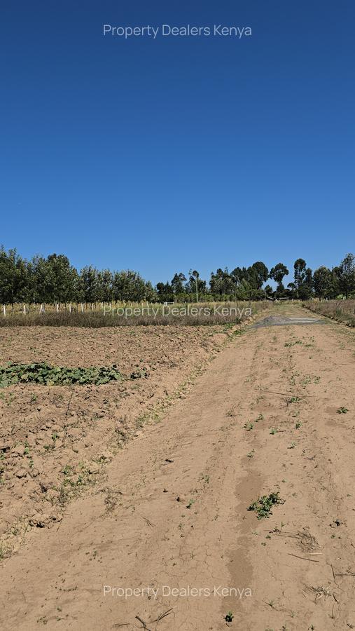 505 ac Residential Land at Burguret - 5