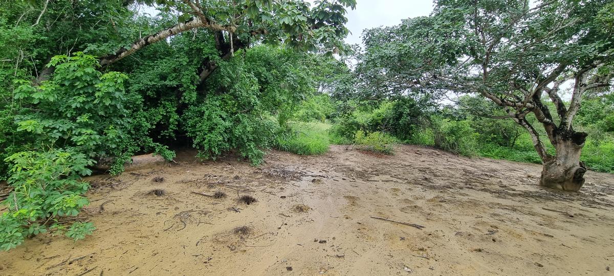 6 ac Land at Mtwapa Creekside - 18