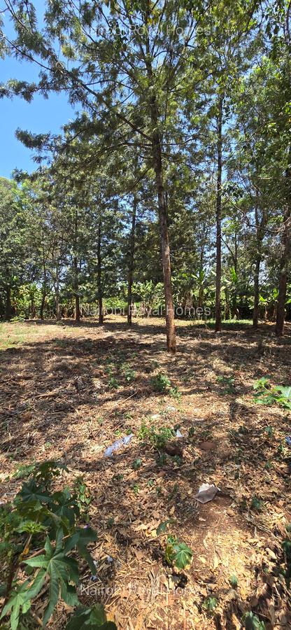 Residential Land at New Kitisuru - 5