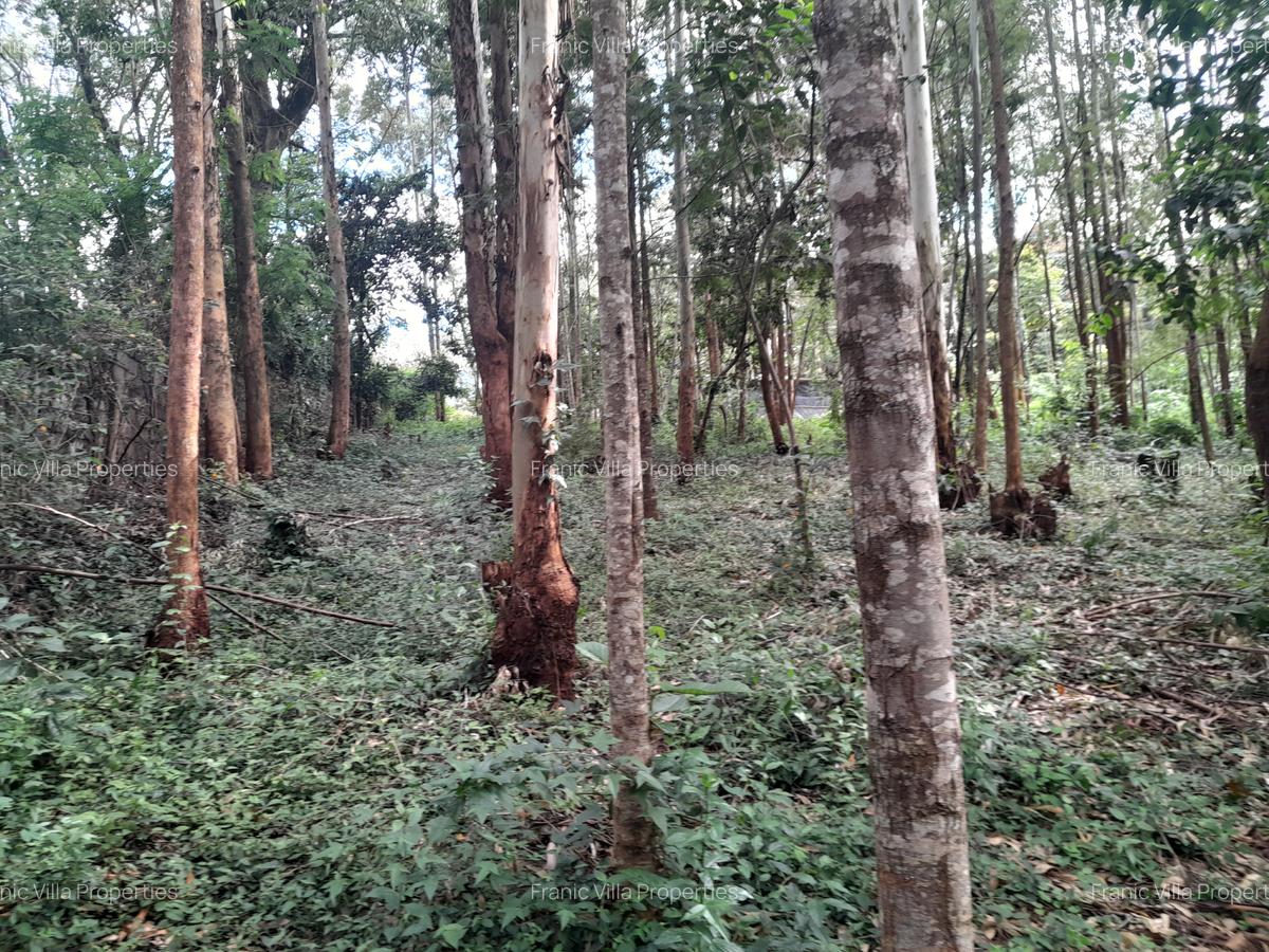 0.5 ac Residential Land at Old Kitisuru - 10