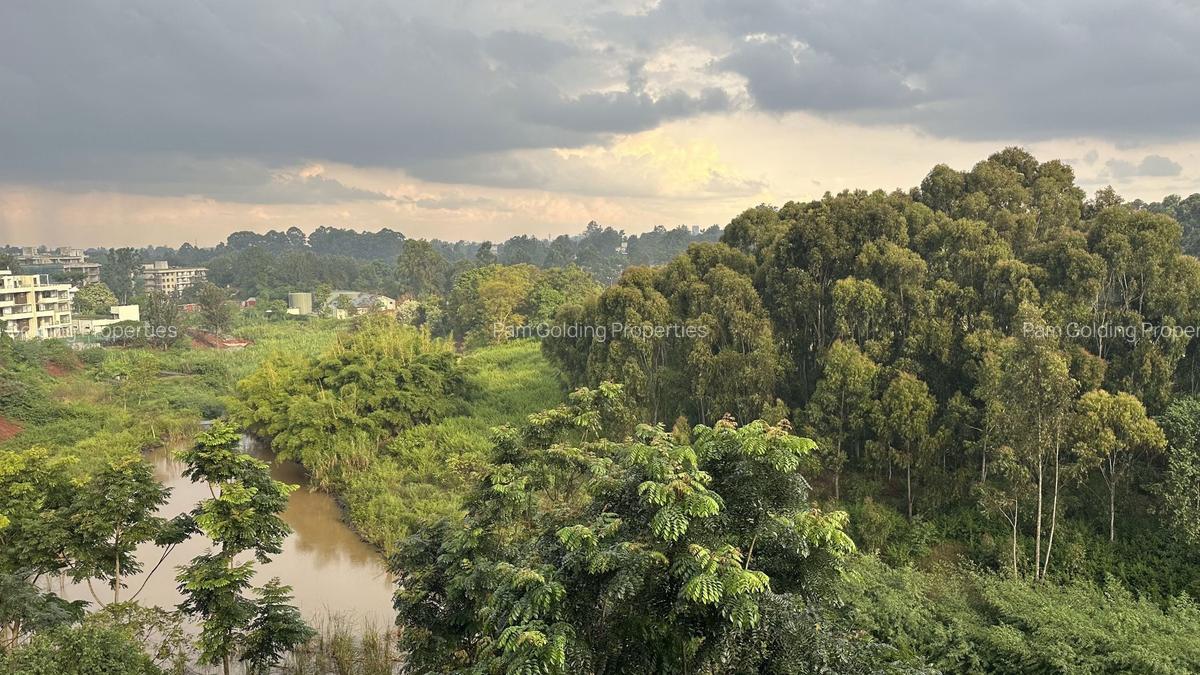 2 Bed Apartment with En Suite in Ruaka - 11