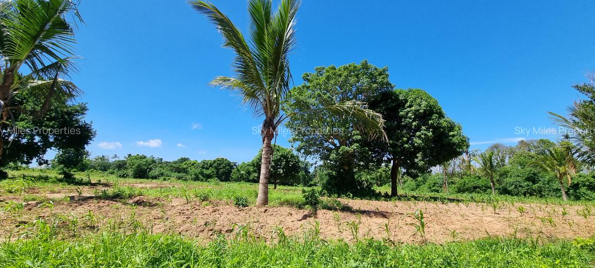 1 m² Land at Bomani - 9