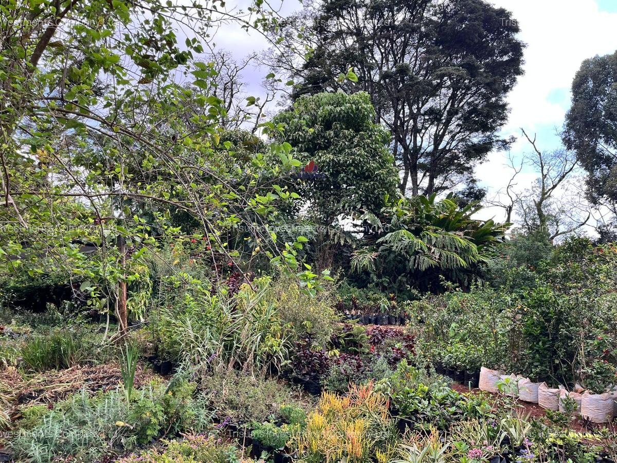 1 ac Land in Nyari - 7