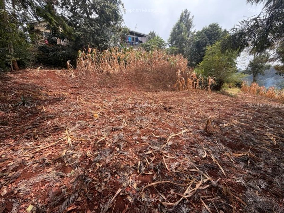 0.25 ac Land in Nyeri - 3