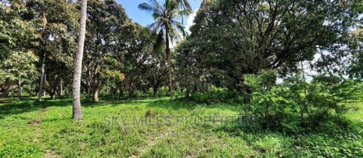 46 ac Land at Greenwood Mtwapa - 3