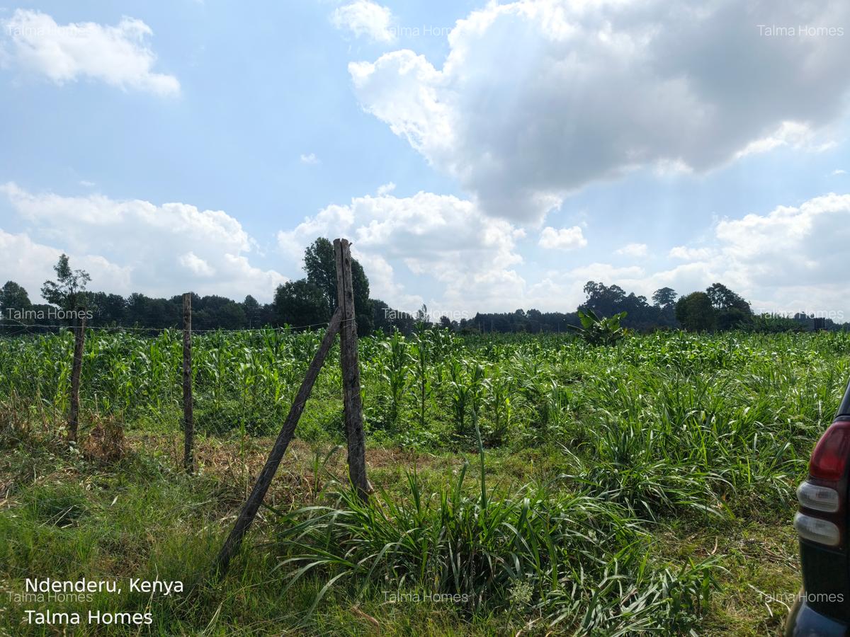 Land at Tigoni - 4