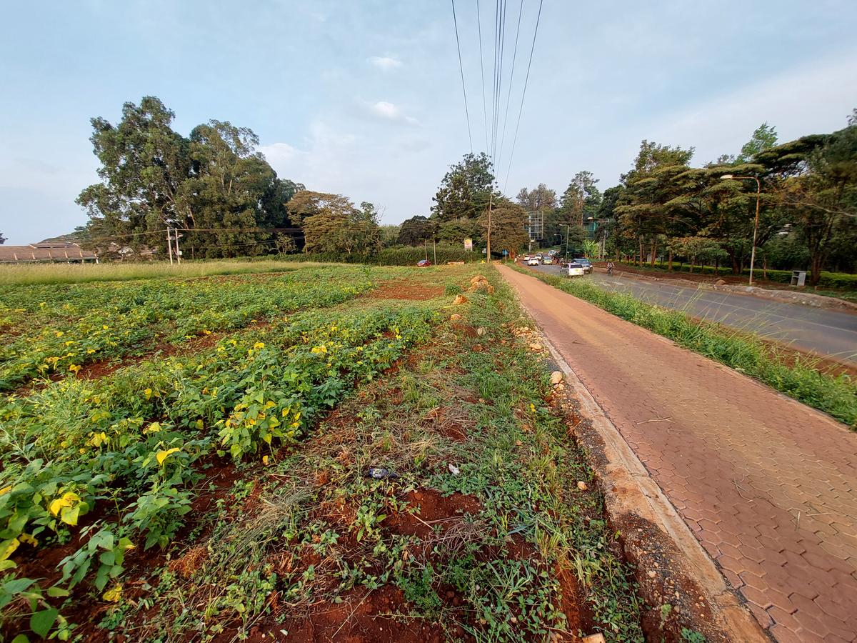 Commercial Property with Backup Generator at Redhil Road - 19