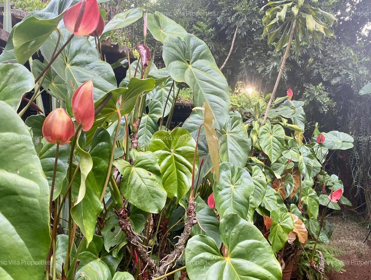 1 Bed House with Garden at Tate Close - 9