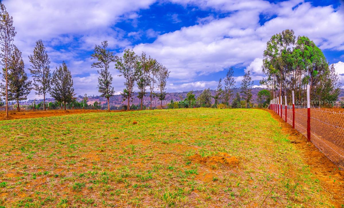 0.4 ac Land at Thigio - 4