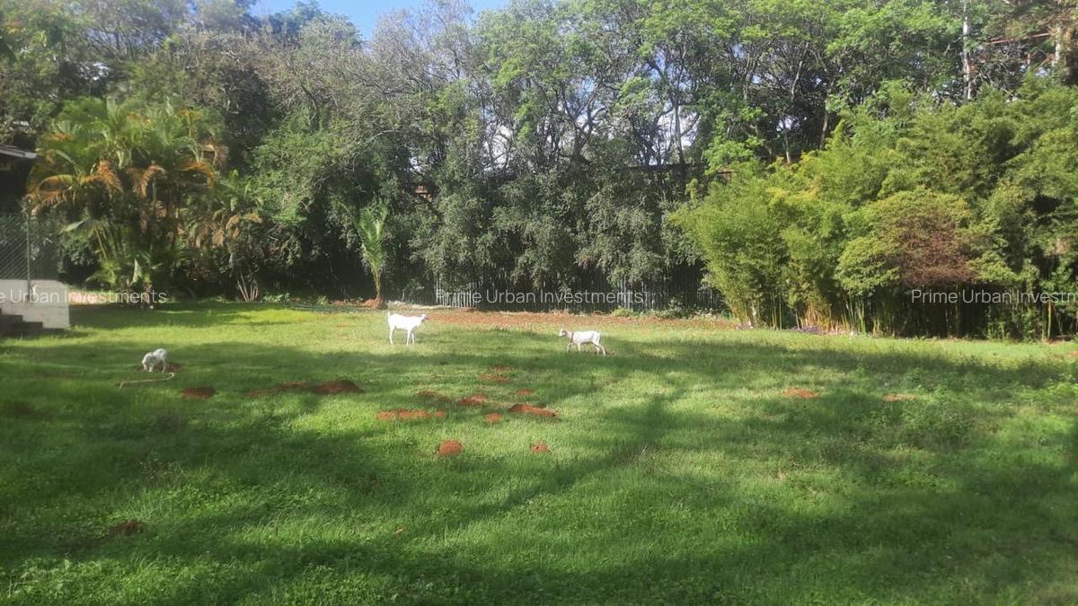 5 ac Land at Kabarnet Gardens - 10