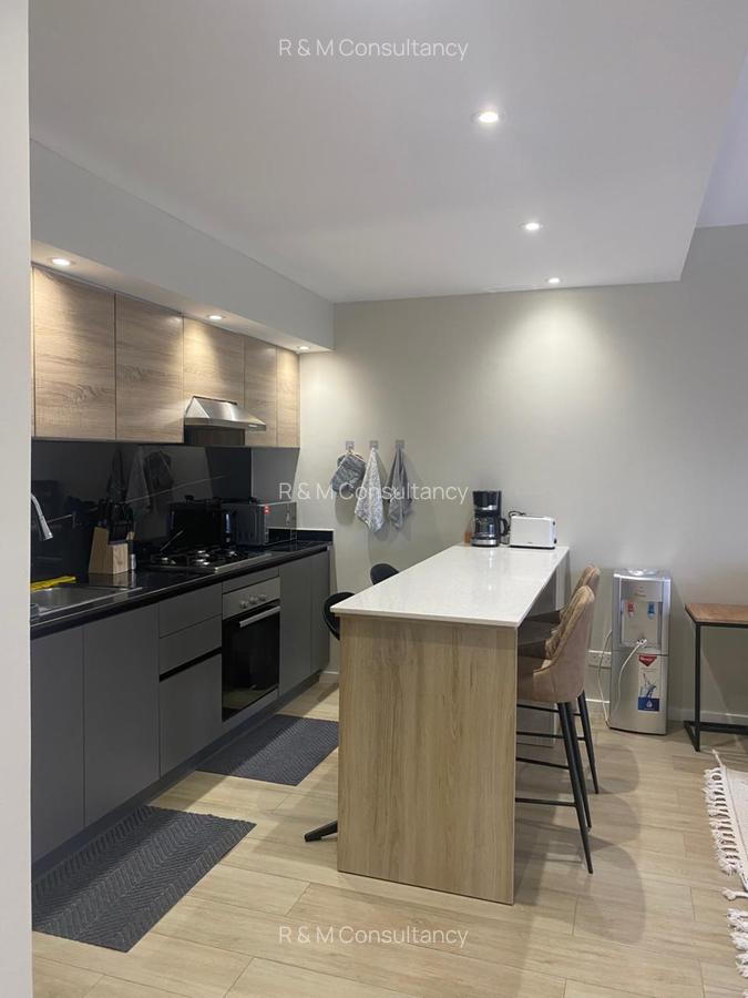 Furnished 1 Bed Apartment with En Suite in Riverside - 9