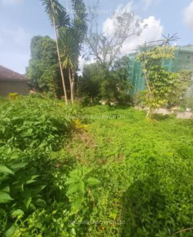 0.6 ac Land at Rhapta Road - 2