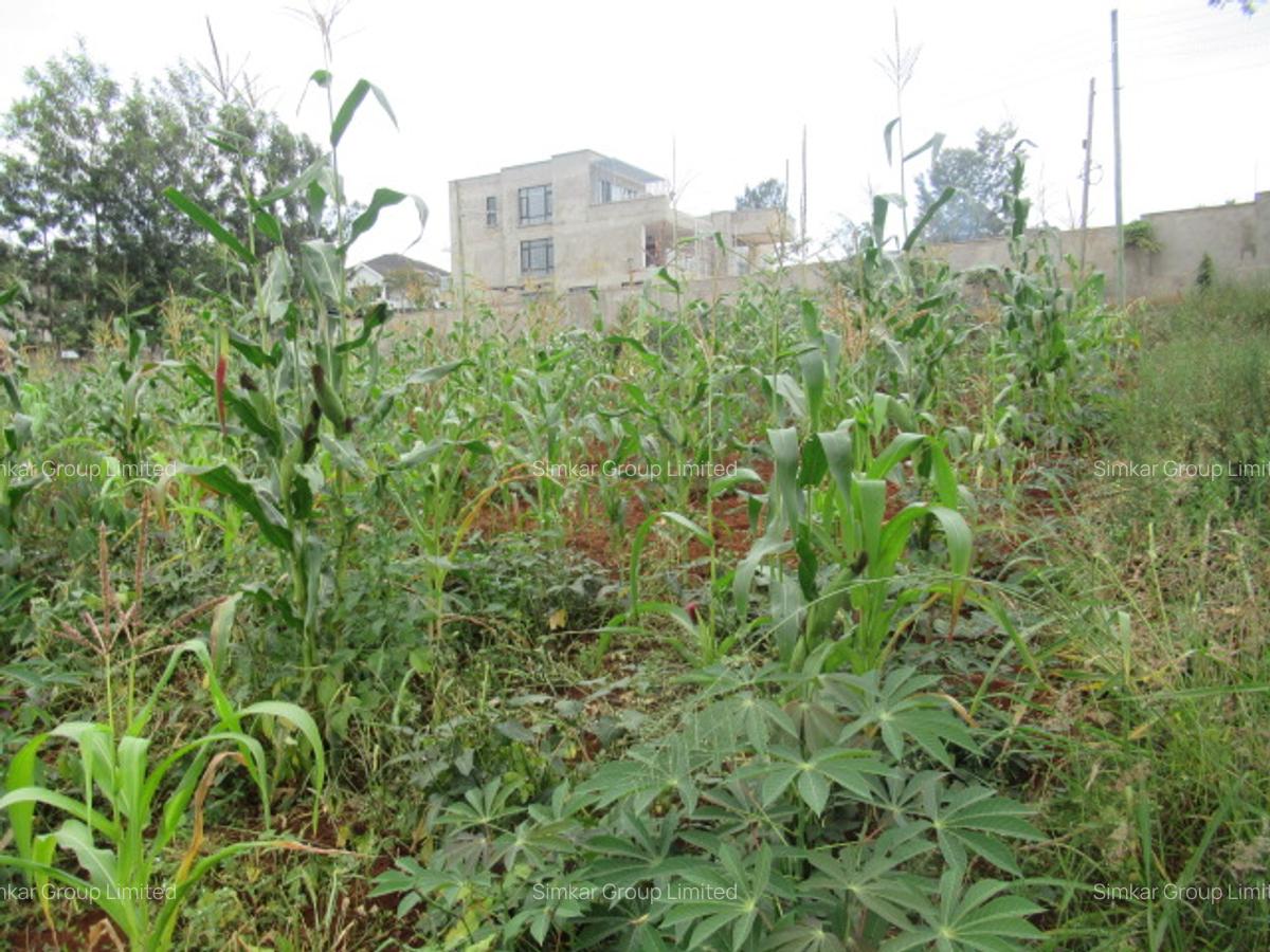 Residential Land at Mushroom Gardens - 2