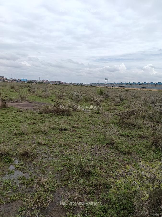 Land at Eastern Bypass - 2