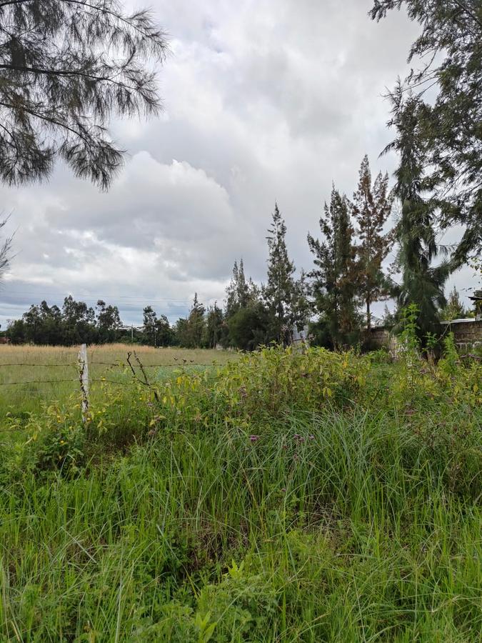 5 ac Land at Karen C - 2