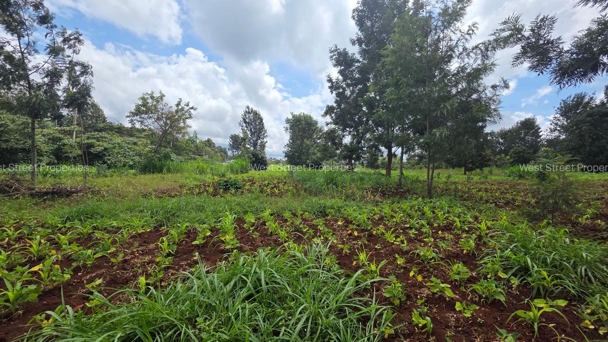 Commercial Property with Service Charge Included at Mutuini Primary - 4