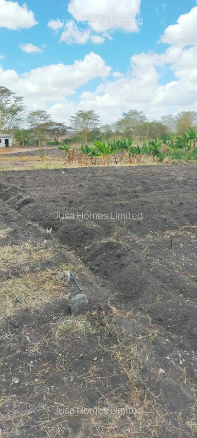 39 ac Land in Malaa - 10