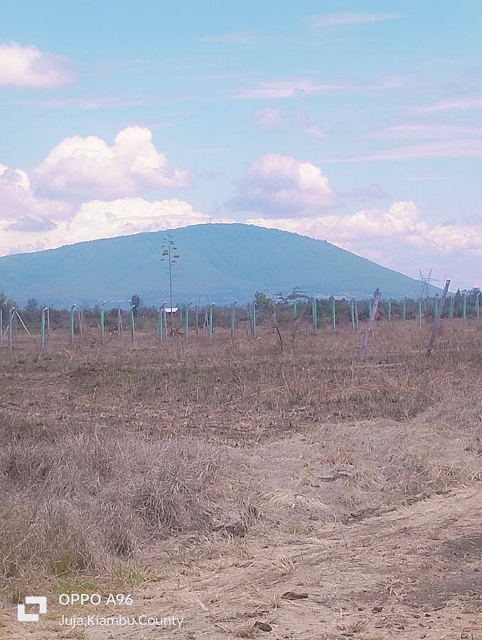 Residential Land in Juja Farm - 12