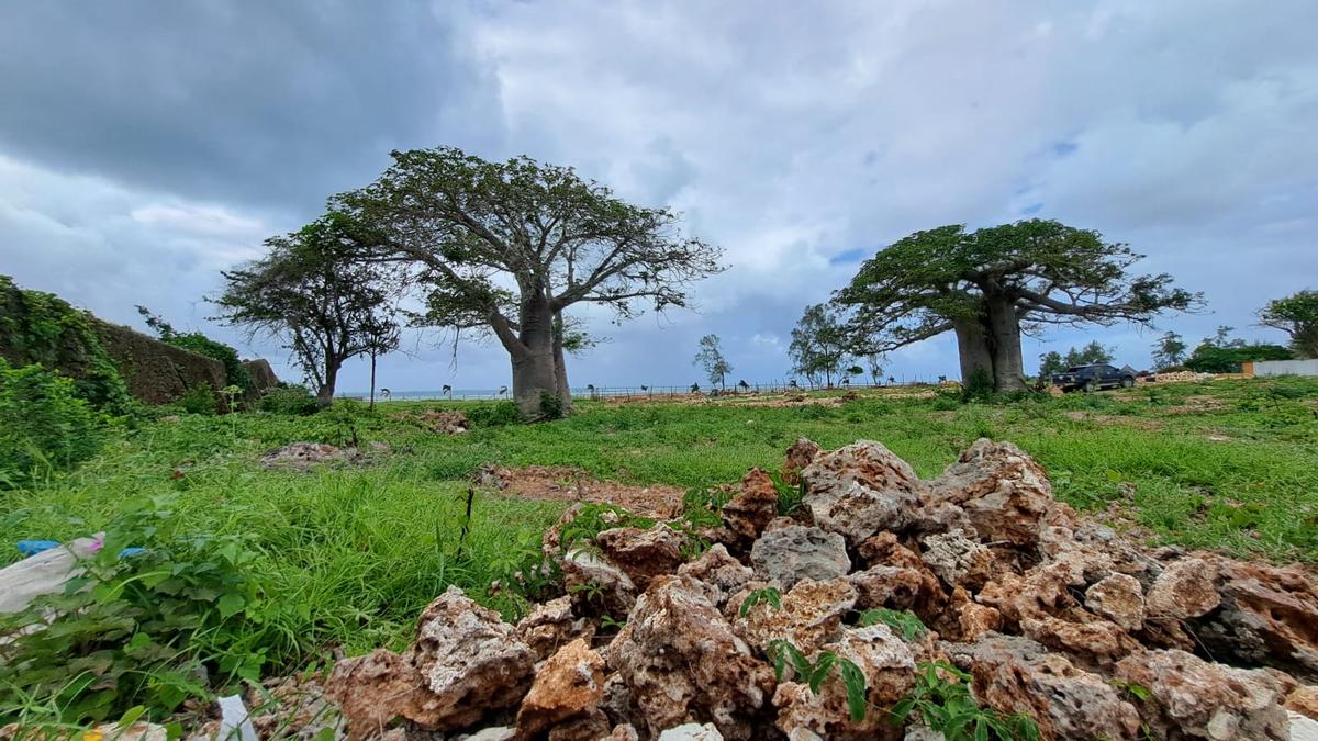 3 Bed House with En Suite at Malindi - 11