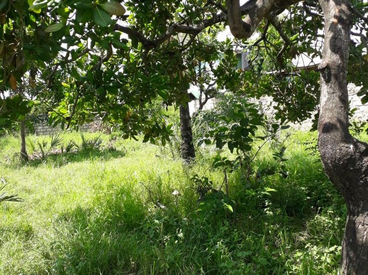 2,024 m² Residential Land in Bamburi - 7