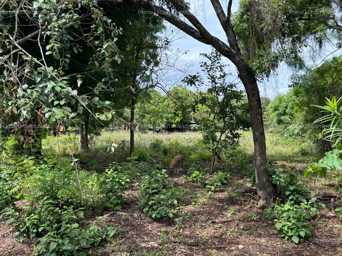8,093.72 m² Land at Diani 3Rd Row Beach - 6