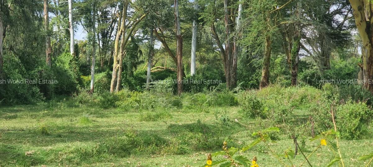 5.5 ac Land in Naivasha - 1