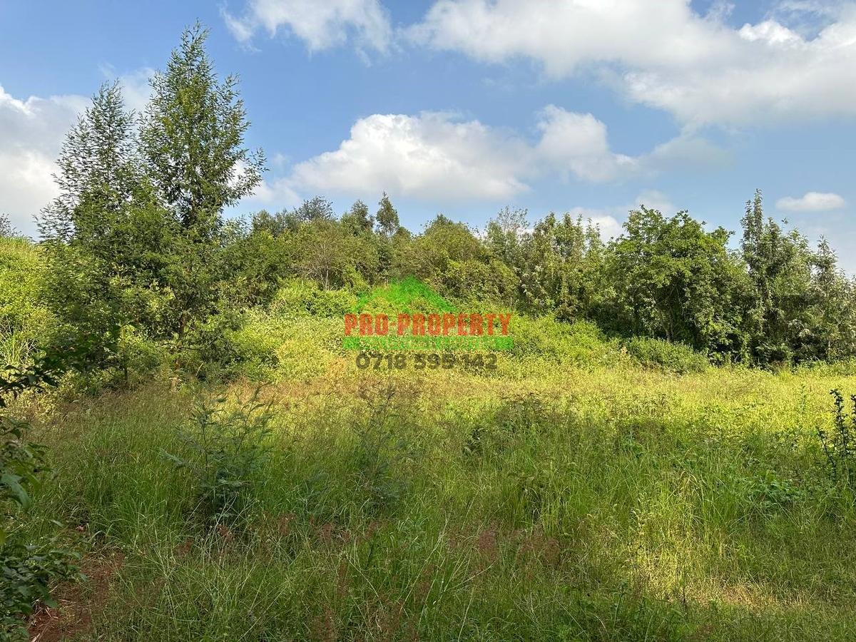 0.14 ha Residential Land at Ondiri - 6