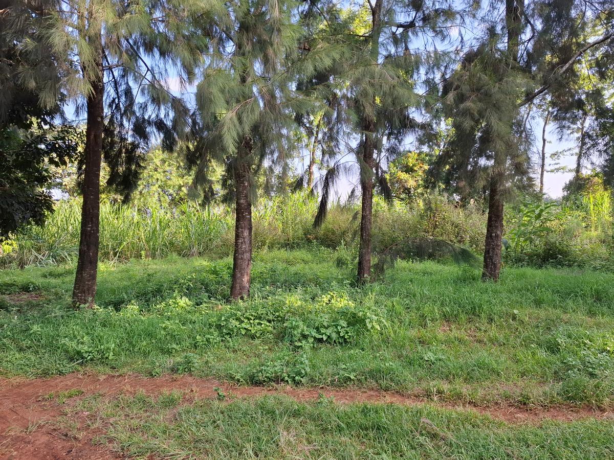 Land in Limuru - 10