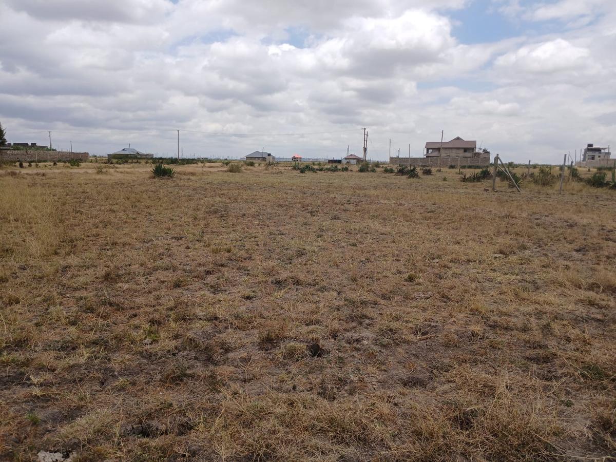 0.125 ac Residential Land at Mastore - 5