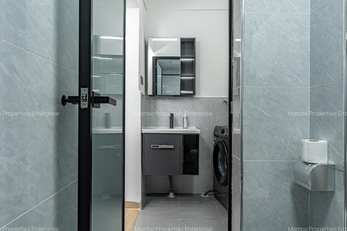 Serviced 1 Bed Apartment with En Suite at David Osieli - 18