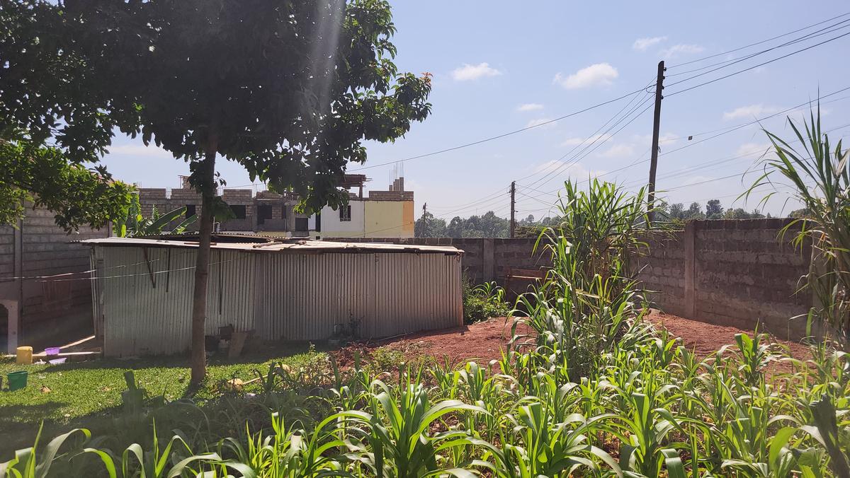 0.25 ac Commercial Property with Fibre Internet at Karura Kagongo Ruaka - 9
