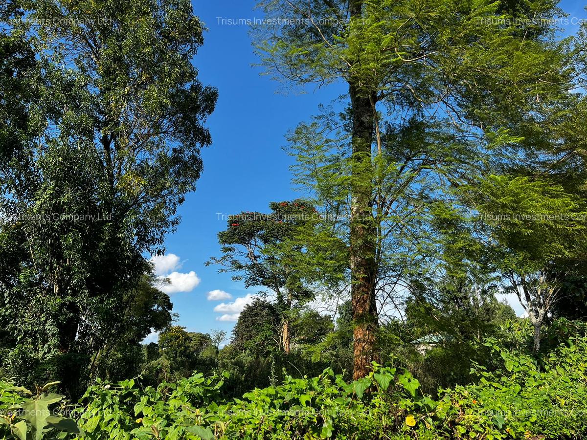 10 ac Land in Banana - 6