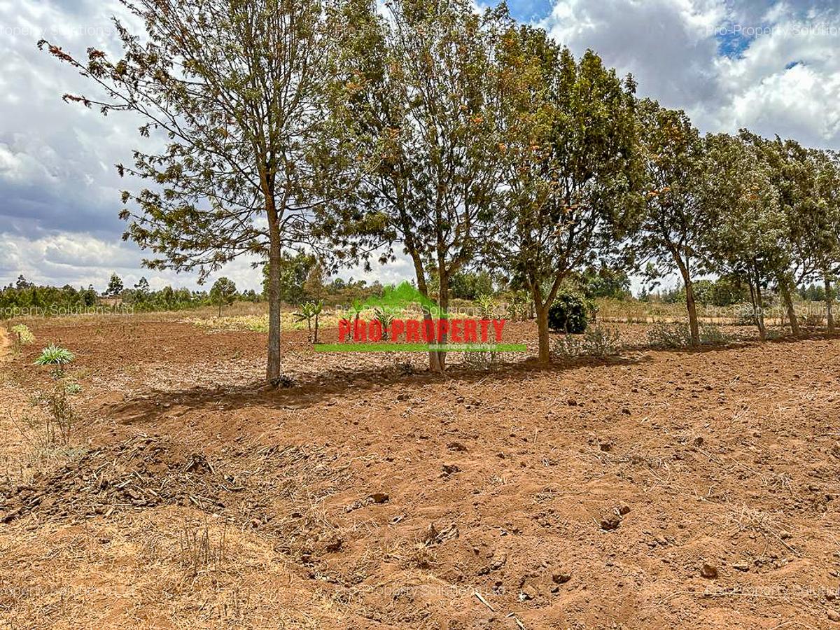 0.2 ha Residential Land in Kamangu - 8