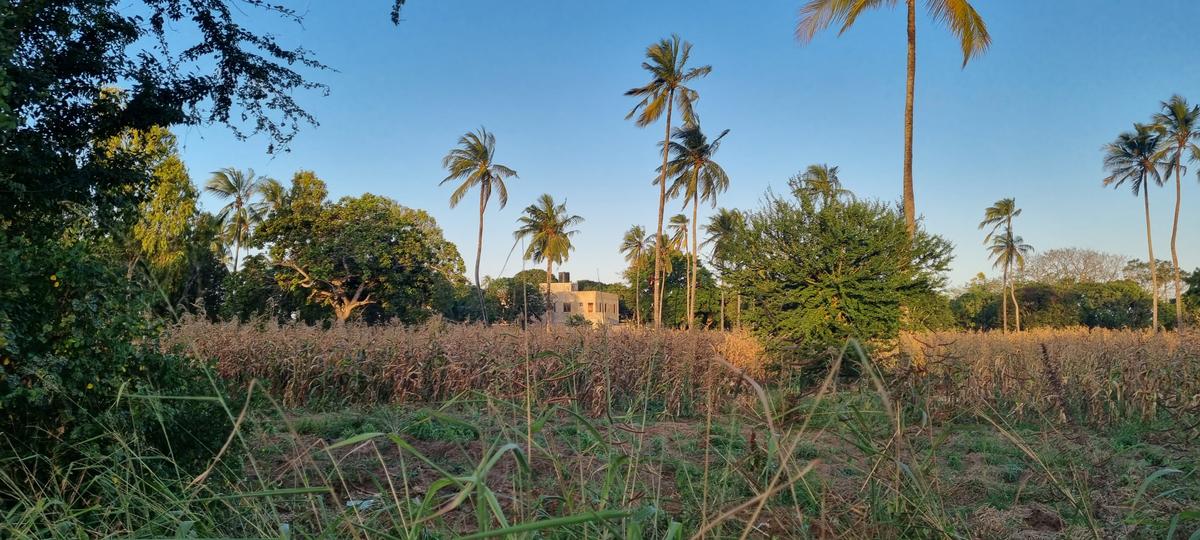 3 ac Land at Mtwapa - 4