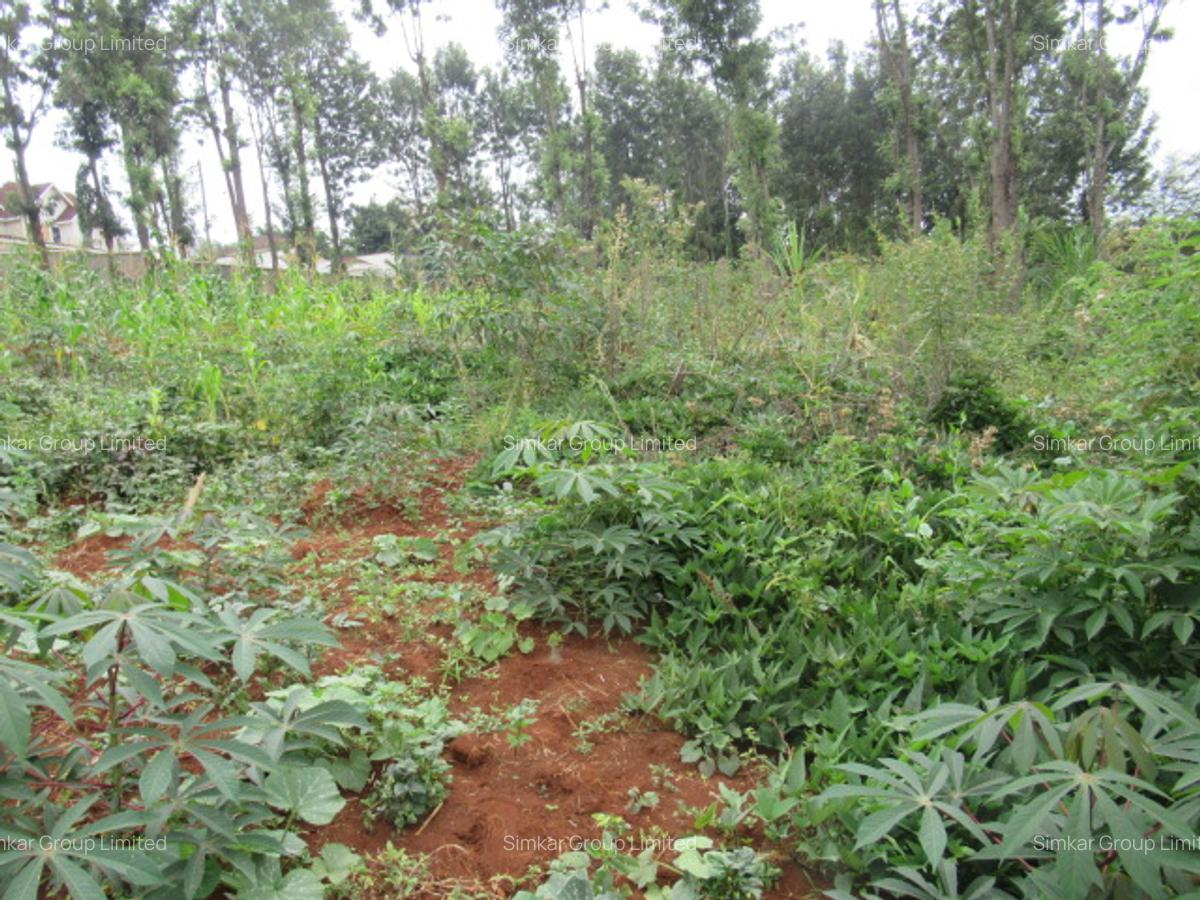 Residential Land at Mushroom Gardens - 16