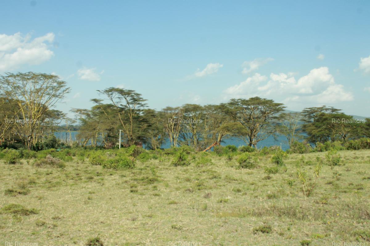 4 Bed House with En Suite at Kinja ( Oloiden - Naivasha ) - 11