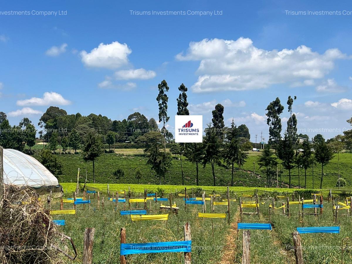 16.5 ac Land in Tigoni - 1