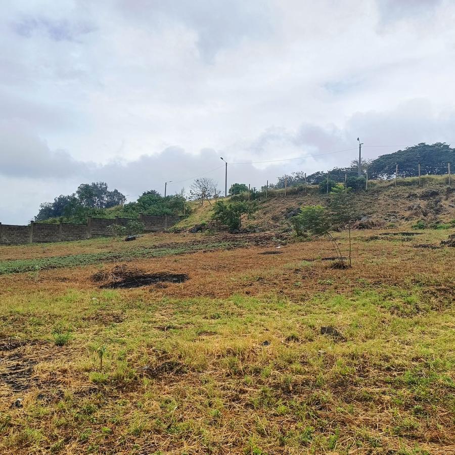 Commercial Land in Upper Hill - 3